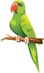 parrot on a branch