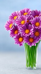 Fototapeta premium A beautiful bouquet of purple chrysanthemum flowers in a glass vase, set against a soft blue background.