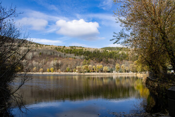 reflection of trees in lake