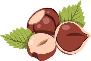 Hazelnut with leaves flat vector illustration isolated on white. Autumn nut collection for seasonal packaging, fall recipe, cafe menu, bakery branding. Ideal for label, sticker, decor, food blog