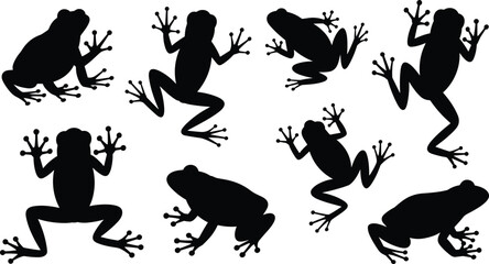 Naklejka premium Collection of black frog silhouettes in various poses on a white background amphibian