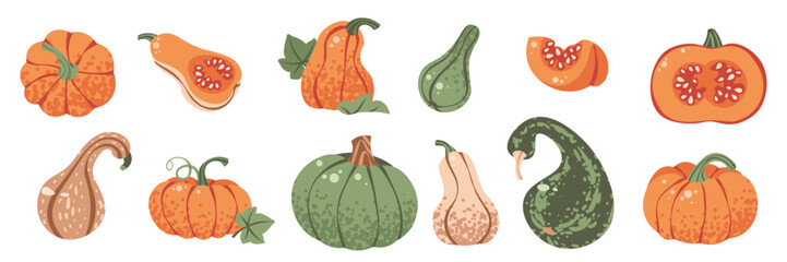 Pumpkins Flat Vector Set Isolated on White. Autumn Thanksgiving Vegetables for Seasonal Stickers, Holiday Decor, Fall Packaging, and Farmhouse Themes. Ideal for Harvest Branding, Posters, and Festive