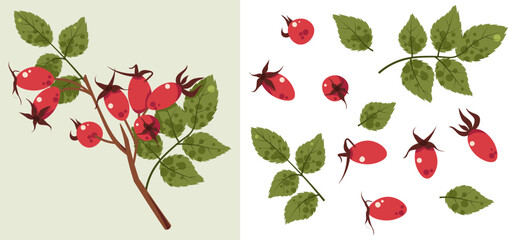 Rosehip Branch Flat Vector Isolated. Illustration with Berries and Leaves. Botanical Design for Stickers, Greeting Cards, Posters, Textile Patterns. Ideal for Nature Themes, Eco-Friendly Branding
