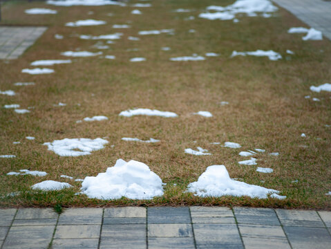last year grass and melting snow
