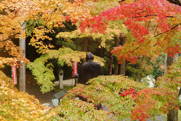 今熊野観音の紅葉