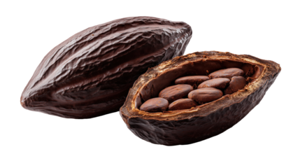 Chocolate that is chocolate fruit. food concept. png file