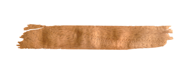 Natural Wooden Texture Banner Isolated on Transparent