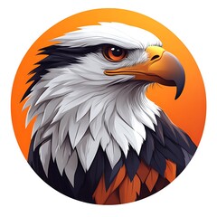 Fototapeta premium Fierce eagle head with orange eyes and photo black and white feathers on orange background