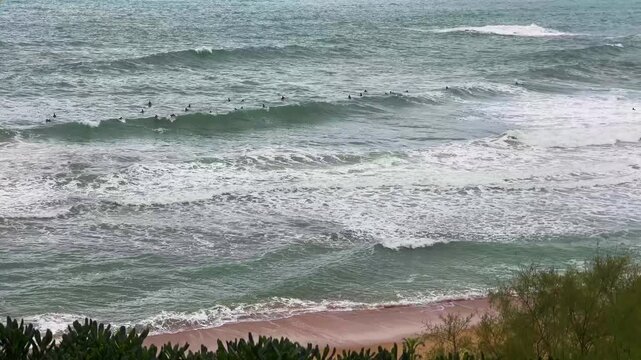 SURFISTAS EN EL MAR