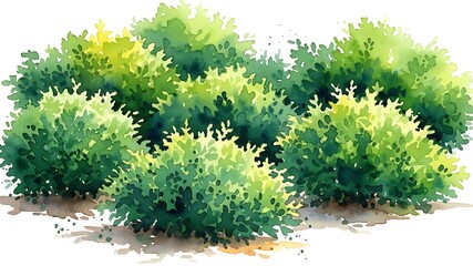 Watercolor green bushes