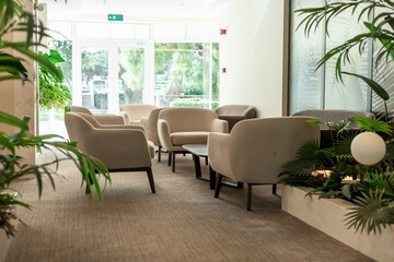 A modern lounge area with several light-colored armchairs arranged around a glass table. Green plants add a touch of nature to the space.