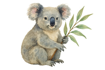 Watercolor koala holding eucalyptus branch isolated on white background