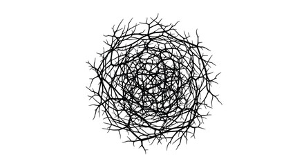 Fototapeta premium A dense, spherical mass of intertwined bare tree branches creates an abstract and complex organic pattern against a clean white background.