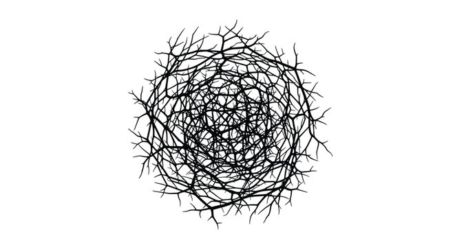 A dense, spherical mass of intertwined bare tree branches creates an abstract and complex organic pattern against a clean white background.