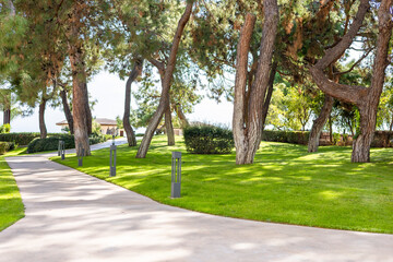 A serene park scene with a paved walkway surrounded by tall trees and lush green grass. The area is well-maintained and inviting for visitors.