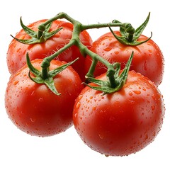 Four Fresh Red Cherry Tomatoes on a Vine with Water Droplets image photo