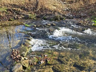 stream in the forest