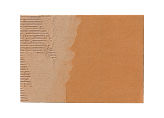 Ripped Corrugated Cardboard with Exposed Inner Layer Texture