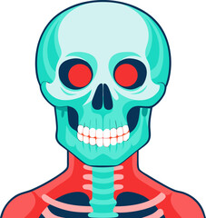 x ray of human skull