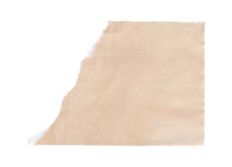 Torn Aged Paper Scrap with Ripped Edge on Transparent Background