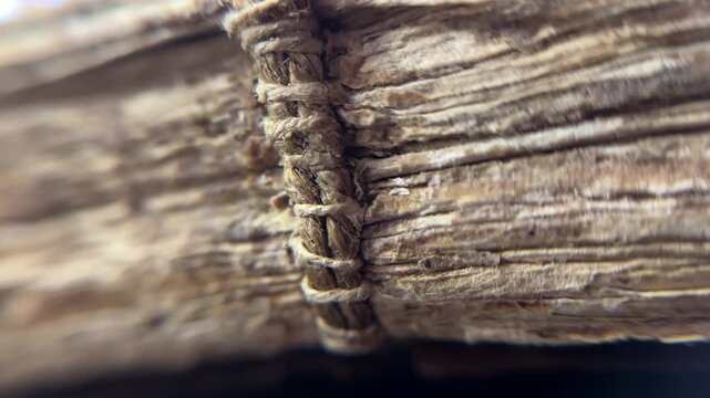 Macro Detail of Antique Book Binding, rustic detail of an antique book's spine and aged paper edges. The image powerfully conveys a sense of history and timeless knowledge.