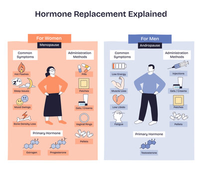 Hormone replacement explained shows menopause and andropause, with woman and man figures, primary hormones and delivery methods like pills and patches. Doodle style diagram