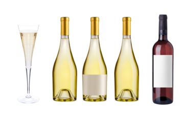 Set of wine bottles with blank white labels and a champagne glass. Collection of red and white wine bottles isolated on white background for branding design.