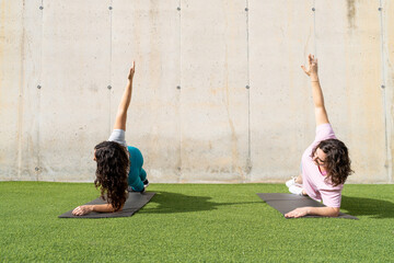 Women friends doing side plank exercise workout outdoors