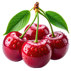 Cluster of glistening, fresh cherries with green leaves and stems