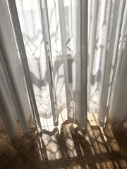 Sunlight and abstract shadows on wooden floor through sheer curtains