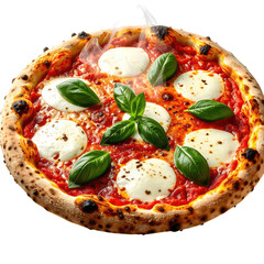 Delicious pizza cheese, basil, tomato sauce on a golden crust