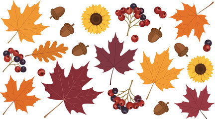 Autumn flowers and leaves in warm seasonal colors illustrated in flat vector style