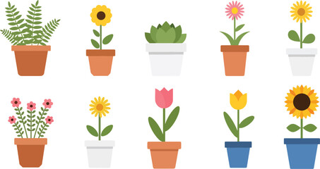 Cute houseplants and flowers in pots illustrated in flat vector style for home decor themes