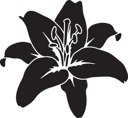 Vector illustration of a beautiful blooming flower with delicate petals and vibrant colors, perfect for design projects.