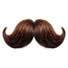 Brown, bushy mustache with curly ends on a black background