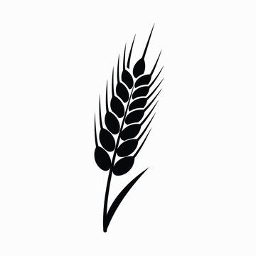 Black silhouette of a single wheat stalk on a transparent background