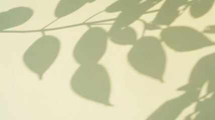 Leaf shadows on light wall background texture Vector