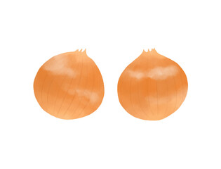 シンプルなたまねぎのイラスト