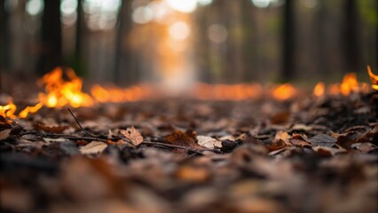 Forest scene with blurred background, featuring fallen leaves and glowing embers along a pathway.