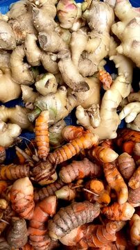 Turmeric and ginger are sold in supermarkets