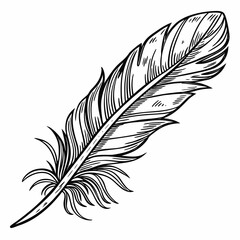 Obraz premium Fine Ink Line Minimal Shading Vintage Feather Art