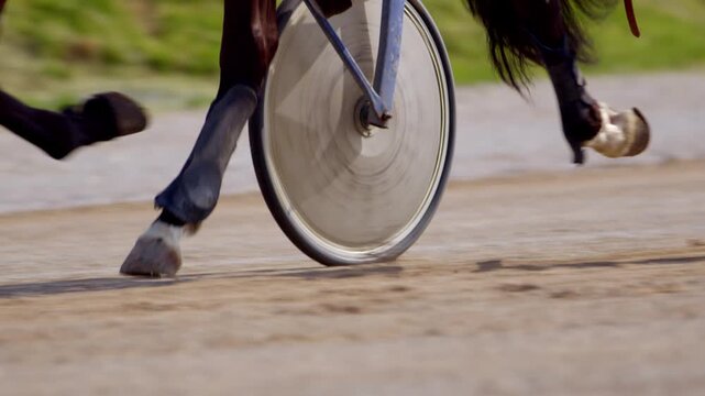 Slow-motion close-up of a racehorse trotting with a sulky on a dirt racetrack, capturing the wheel&rsquo;s motion, hoof impacts, dust, and the dynamic energy of harness racing