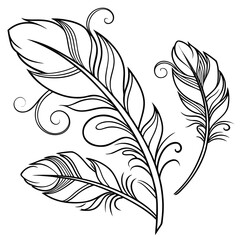 Graceful Composition Clear Lines Art Nouveau Feathers