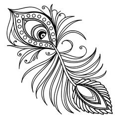 Extremely Fine Line Decorative Peacock Feather Pattern
