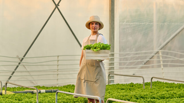 Smiling female farmer holding wooden crate full of fresh lettus vegetables in her vegetable farm. Greenhouse aquaponic, agriculture production concept. - Powered by Adobe