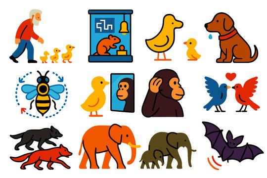 Ethology Icon Set. Flat vector icons of ethology: Lorenz with goslings, Skinner box, Pavlov&rsquo;s dog, rat maze, bee waggle dance,