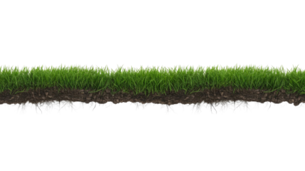 A long, vibrant strip of green grass with visible roots and rich soil, isolated as a cross-section on a transparent background. background removed