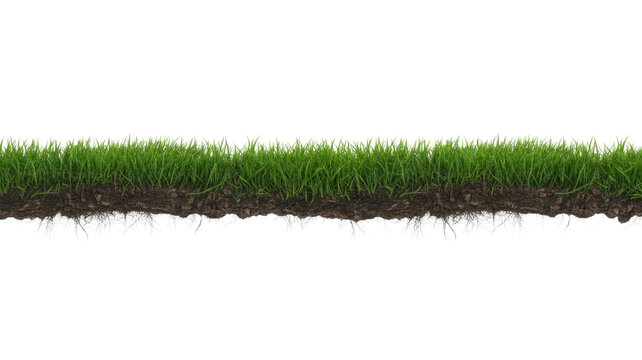 A long, vibrant strip of green grass with visible roots and rich soil, isolated as a cross-section on a transparent background. background removed