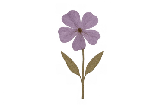 Pressed purple five-petal flower with dried leaves, botanical illustration on transparent background, flora element - Powered by Adobe
