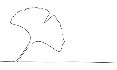 Elegant Continuous Line Ginkgo Leaf Drawing